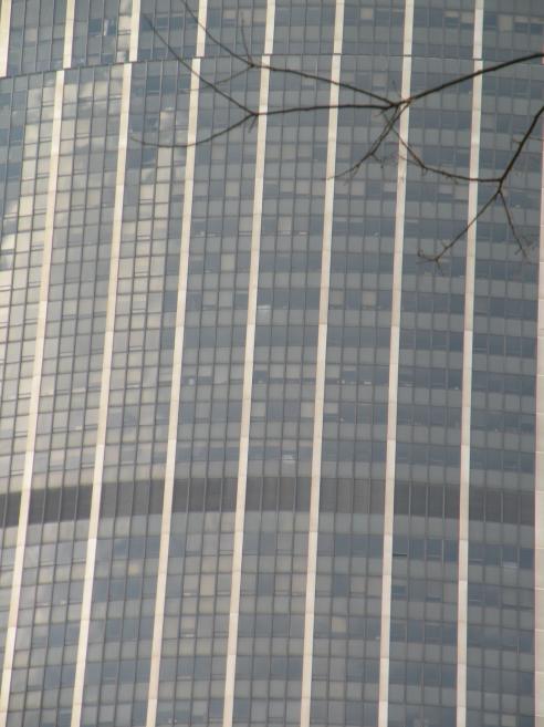  fenêtres de la tour Montparnasse